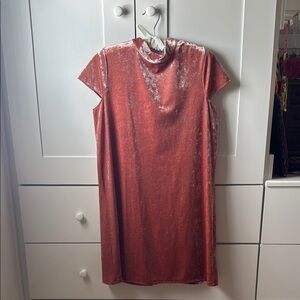 Elegant Velvet Dress in Rust by [Brand]